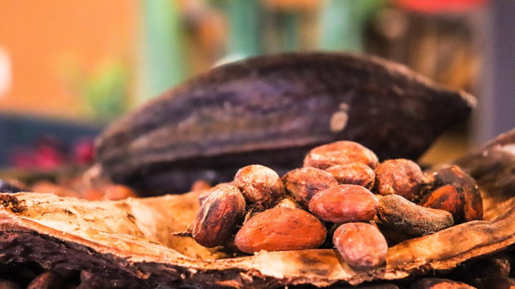The Making of Fine Samoan Chocolate